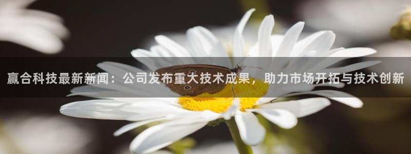 赢合科技最新新闻：公司发布重大技术成果，助力市场开拓与技术创新