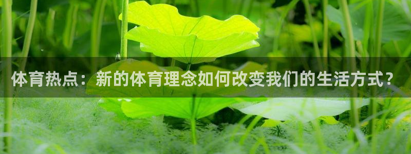 体育热点：新的体育理念如何改变我们的生活方式？