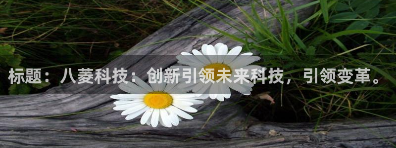 标题：八菱科技：创新引领未来科技，引领变革。